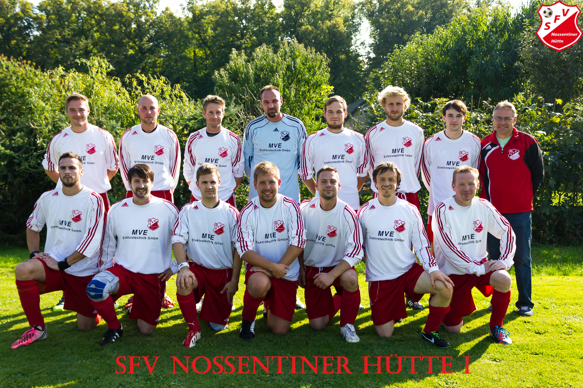 sfvI Team